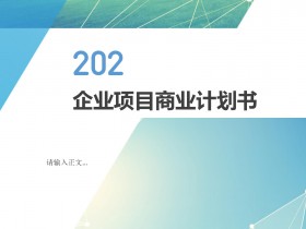 企业项目商业计划书文档Word背景模板